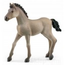 SCHLEICH 13949 ŹREBIĘ CRIOLLO DEFINITIVO