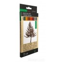 OŁÓWKI SZEŚCIOKĄTNE CEDROWE ZESTAW 12 SZTUK OD HB DO 2H