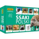 ADAMIGO MEMORY SSAKI POLSKI