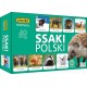 ADAMIGO MEMORY SSAKI POLSKI