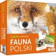 ADAMIGO GRA MEMORY FAUNA POLSKI